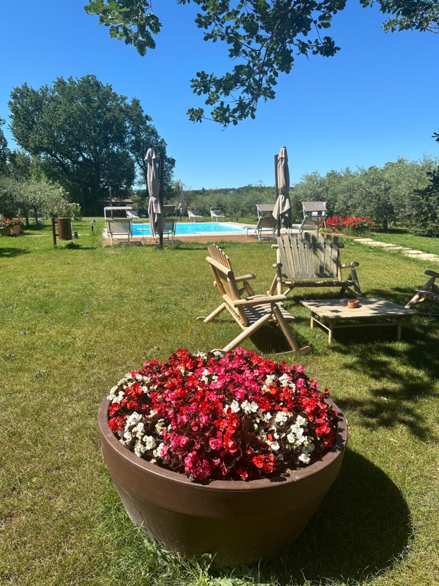 Podere Selvatici Imola Eksteriør billede